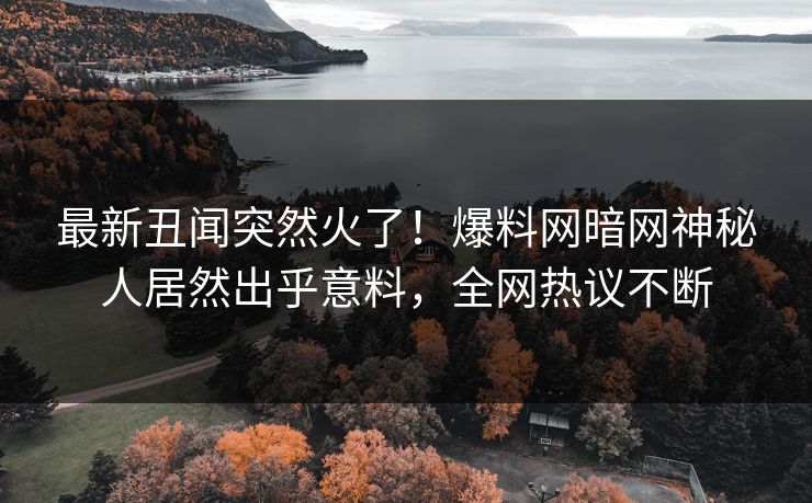 最新丑闻突然火了！爆料网暗网神秘人居然出乎意料，全网热议不断