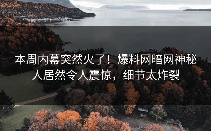 本周内幕突然火了！爆料网暗网神秘人居然令人震惊，细节太炸裂