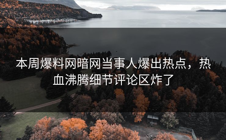 本周爆料网暗网当事人爆出热点，热血沸腾细节评论区炸了