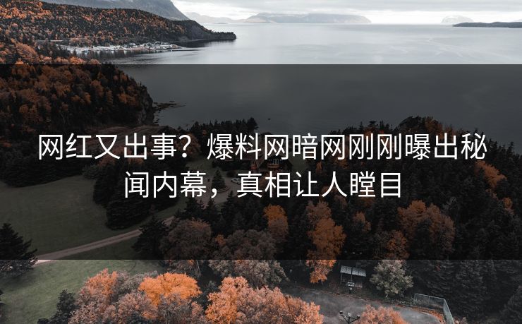网红又出事?爆料网暗网刚刚曝出秘闻内幕,真相让人瞠目