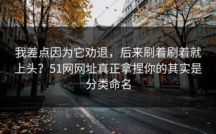我差点因为它劝退，后来刷着刷着就上头？51网网址真正拿捏你的其实是分类命名